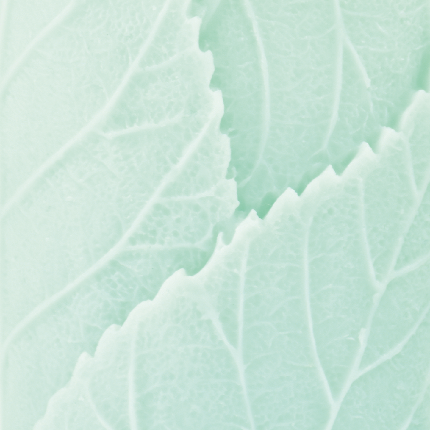 Bougie décorative verte en cire de soja en forme de feuille LIVY