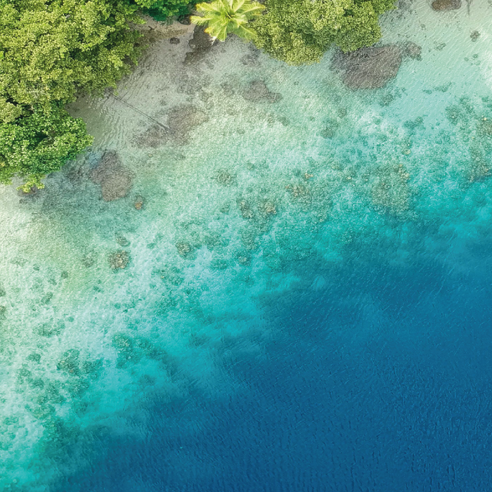 PARADIS EXOTIQUE